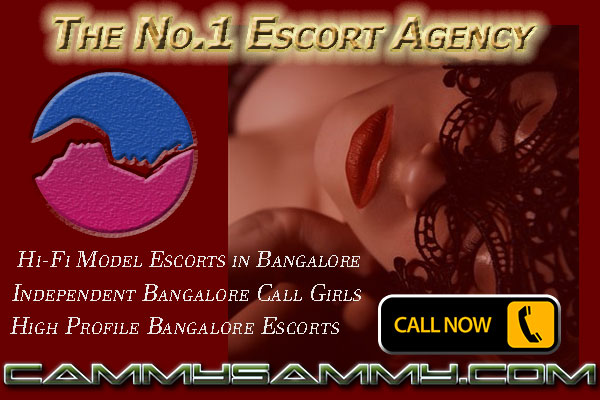 South Indian school girl sex video